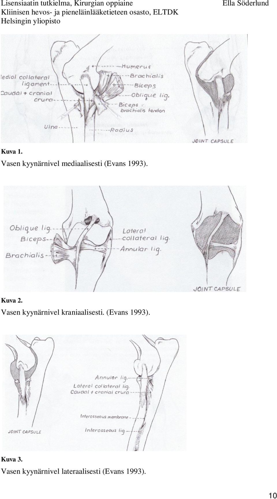 1993). Kuva 2.