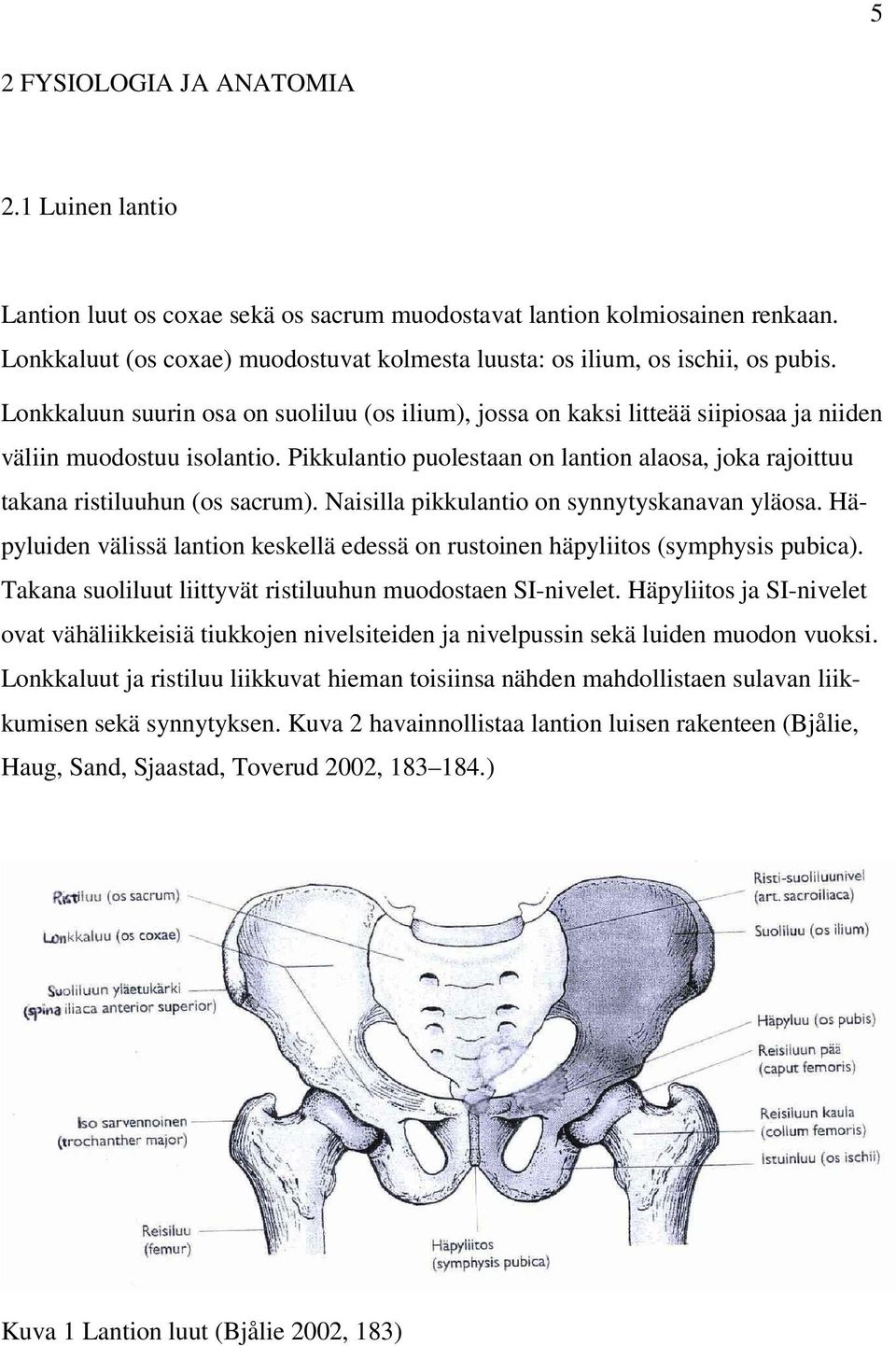 Pikkulantio puolestaan on lantion alaosa, joka rajoittuu takana ristiluuhun (os sacrum). Naisilla pikkulantio on synnytyskanavan yläosa.