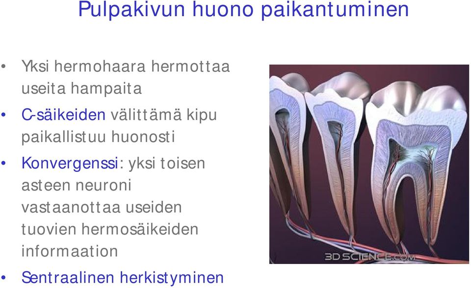 huonosti Konvergenssi: yksi toisen asteen neuroni