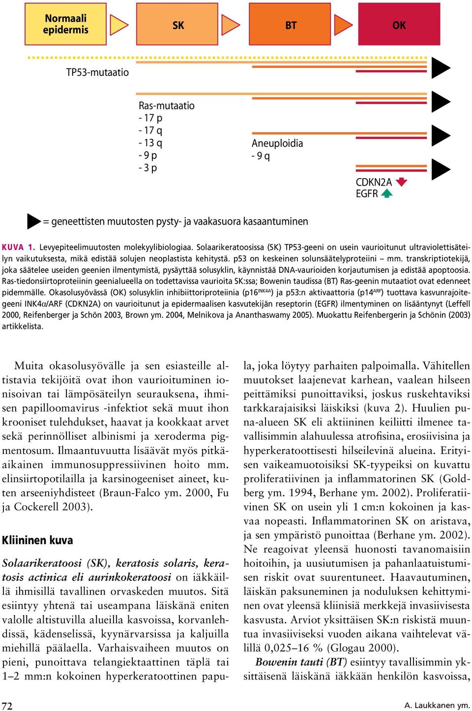 p53 on keskeinen solunsäätelyproteiini mm. transkriptiotekijä, joka säätelee useiden geenien ilmentymistä, pysäyttää solusyklin, käynnistää DNA vaurioiden korjautumisen ja edistää apoptoosia.