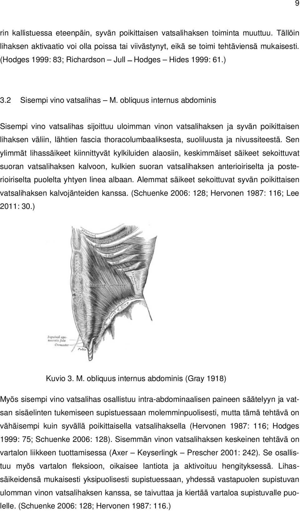 obliquus internus abdominis Sisempi vino vatsalihas sijoittuu uloimman vinon vatsalihaksen ja syvän poikittaisen lihaksen väliin, lähtien fascia thoracolumbaaliksesta, suoliluusta ja nivussiteestä.
