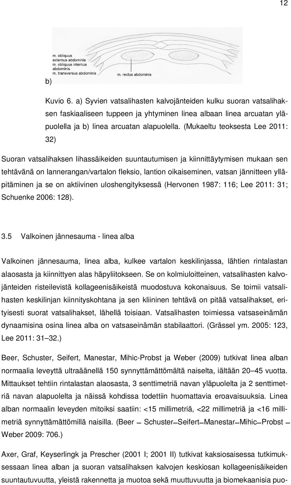 ylläpitäminen ja se on aktiivinen uloshengityksessä (Hervonen 1987: 116; Lee 2011: 31