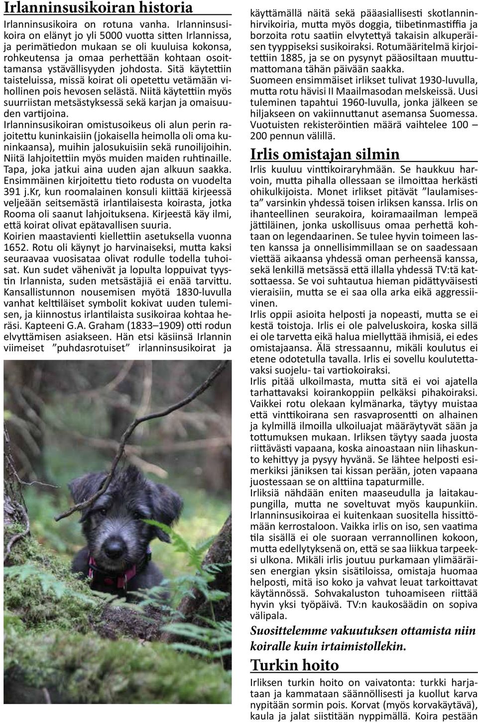 Sitä käytettiin taisteluissa, missä koirat oli opetettu vetämään vihollinen pois hevosen selästä. Niitä käytettiin myös suurriistan metsästyksessä sekä karjan ja omaisuuden vartijoina.
