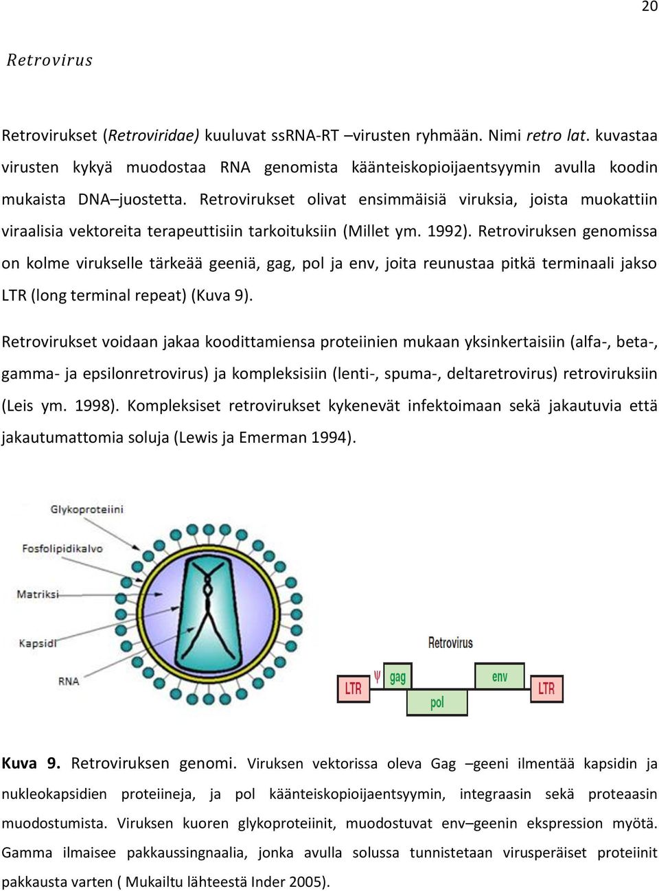 Retrovirukset olivat ensimmäisiä viruksia, joista muokattiin viraalisia vektoreita terapeuttisiin tarkoituksiin (Millet ym. 1992).