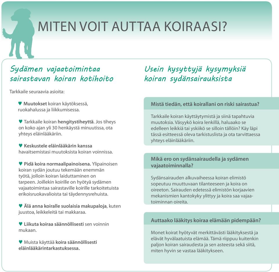 Tarkkaile koiran hengitystiheyttä. Jos tiheys on koko ajan yli 30 henkäystä minuutissa, ota yhteys eläinlääkäriin. Keskustele eläinlääkärin kanssa havaitsemistasi muutoksista koiran voinnissa.