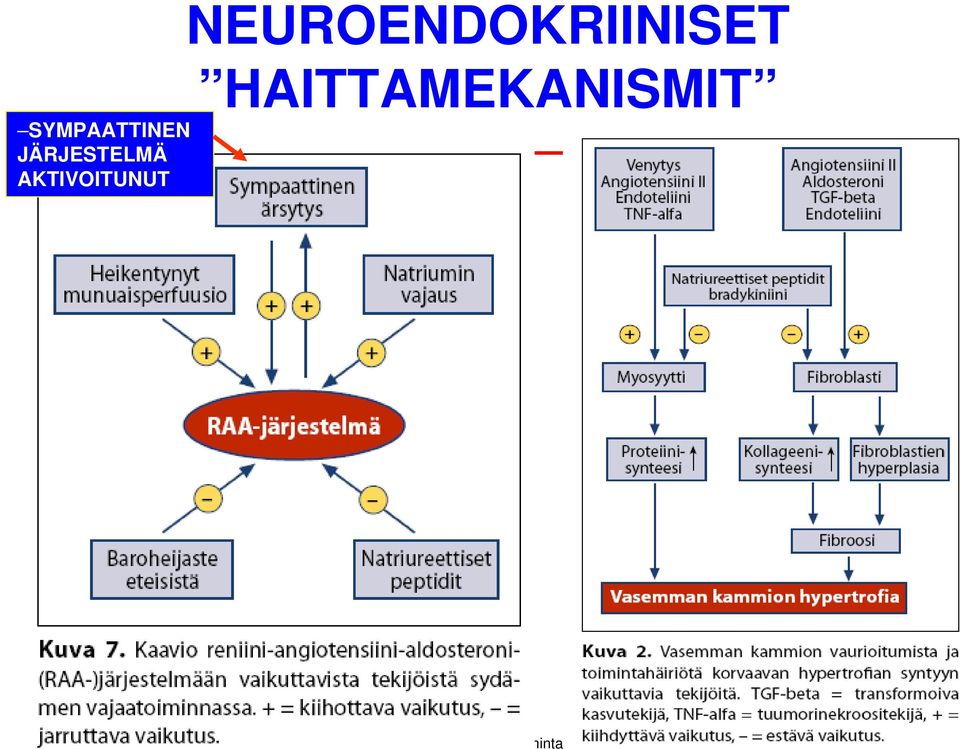 AKTIVOITUNUT