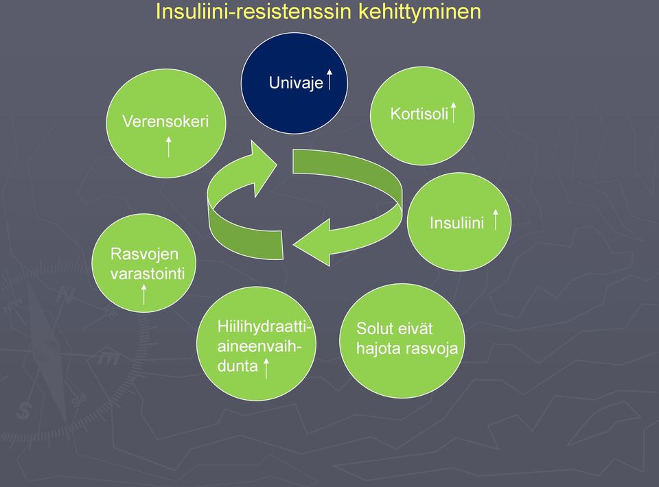 Insuliini Rasvojen varastointi