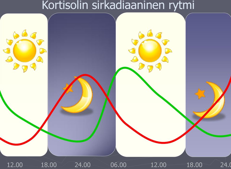 rytmi 12.00 18.