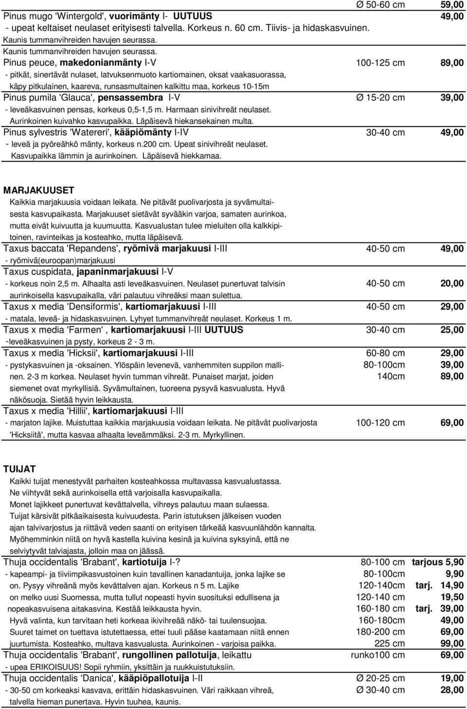 Pinus peuce, makedonianmänty I-V 100-125 cm 89,00 - pitkät, sinertävät nulaset, latvuksenmuoto kartiomainen, oksat vaakasuorassa, käpy pitkulainen, kaareva, runsasmultainen kalkittu maa, korkeus