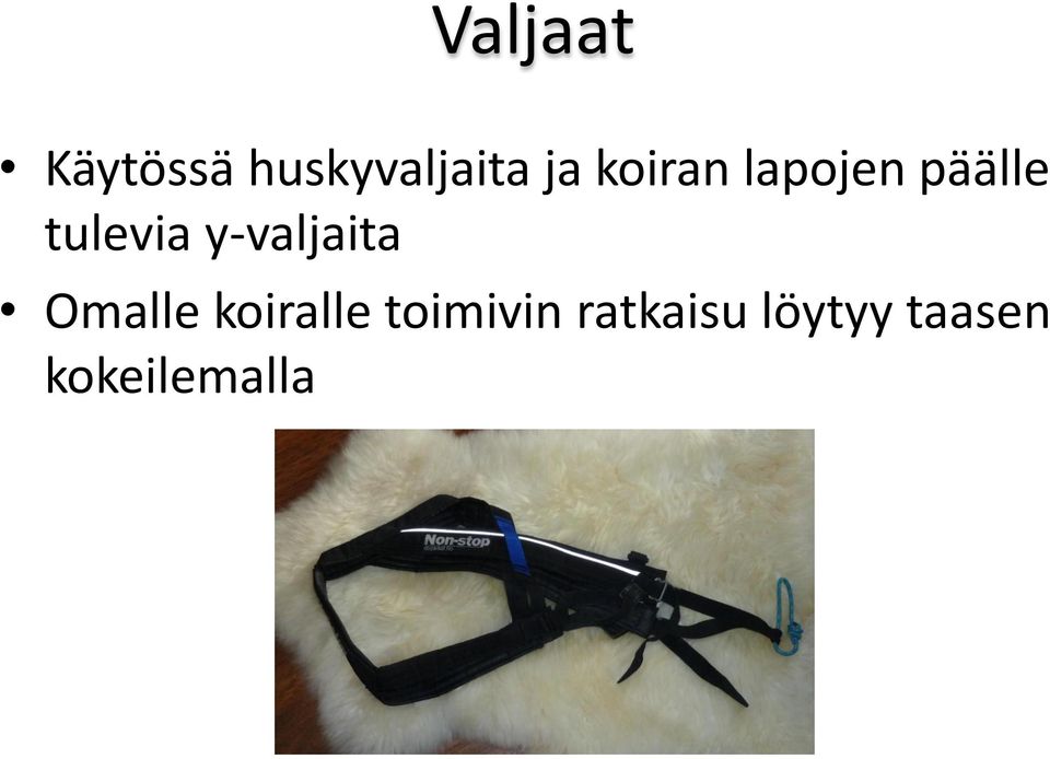 y-valjaita Omalle koiralle