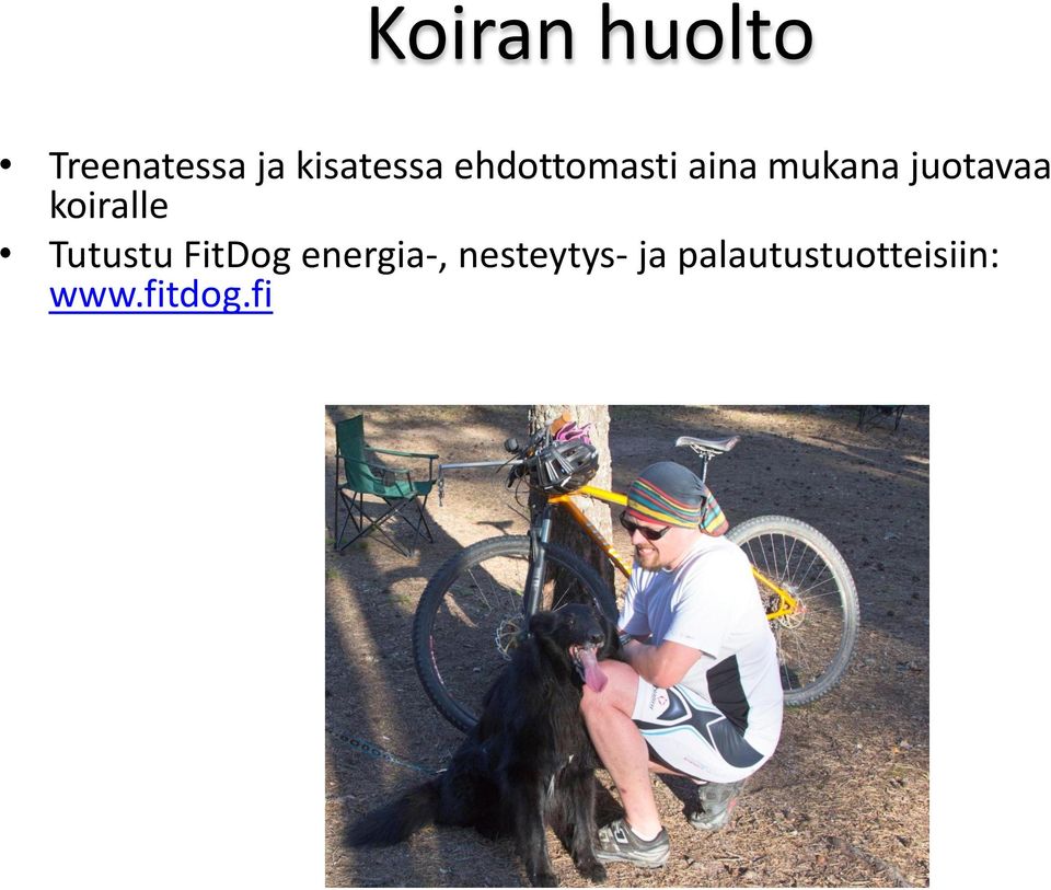 koiralle Tutustu FitDog energia-,