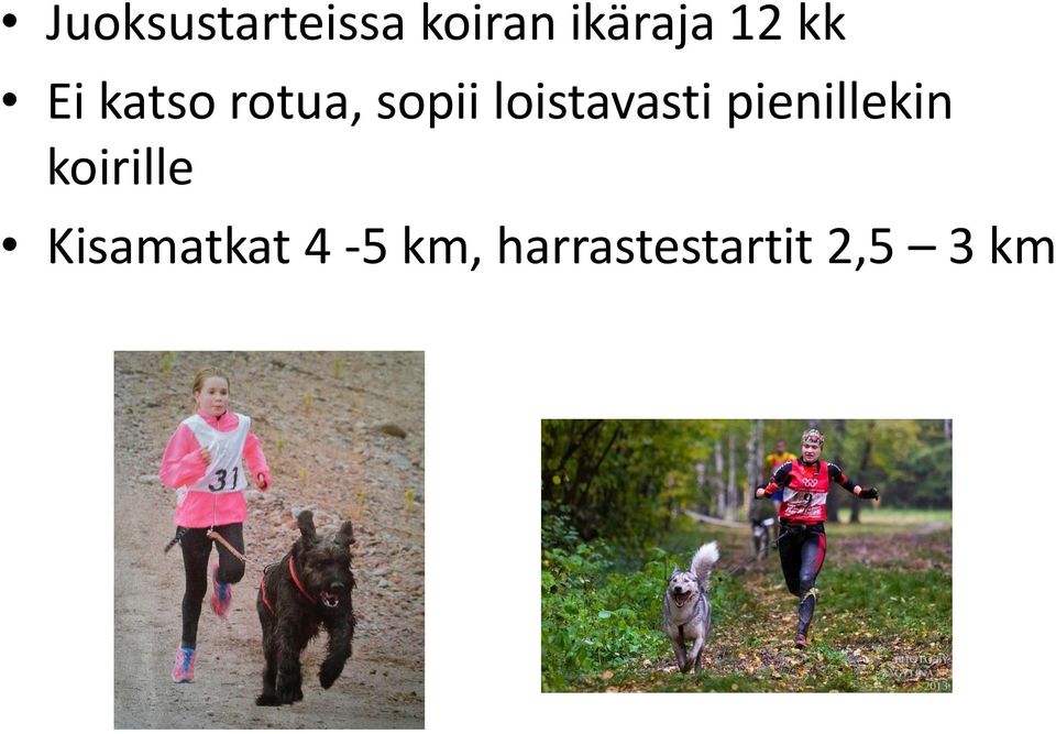 loistavasti pienillekin koirille