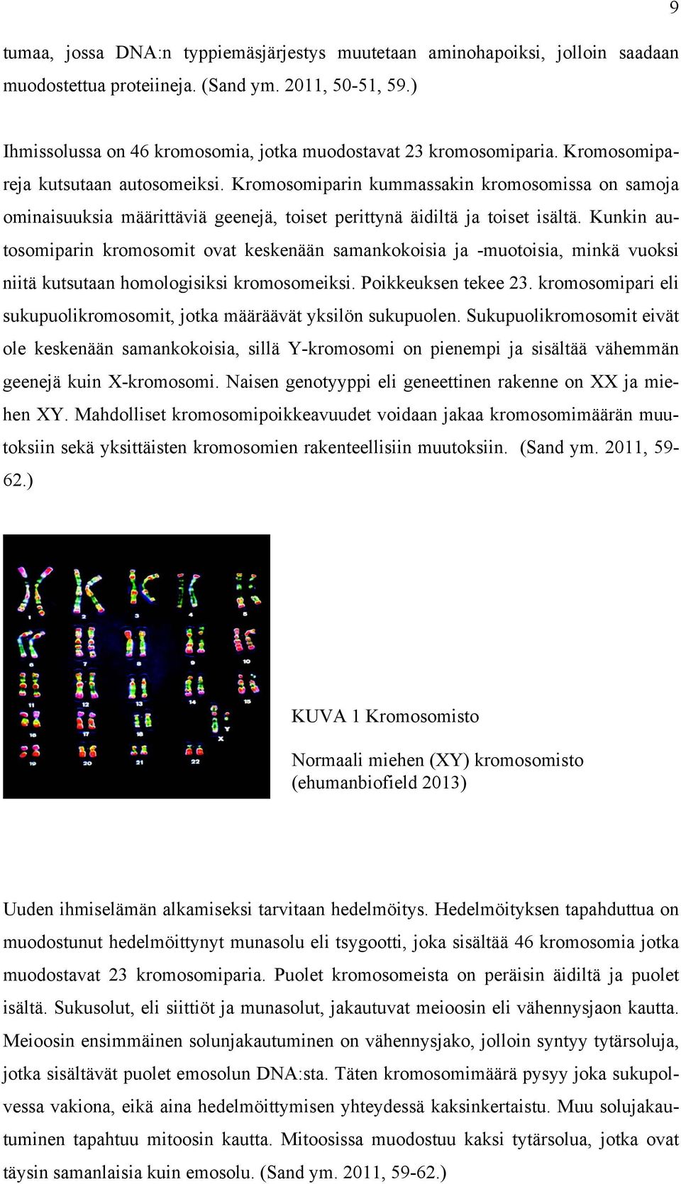 Kromosomiparin kummassakin kromosomissa on samoja ominaisuuksia määrittäviä geenejä, toiset perittynä äidiltä ja toiset isältä.