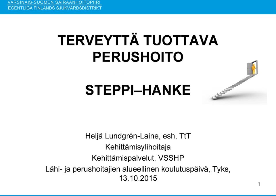 Kehittämisylihoitaja Kehittämispalvelut, VSSHP