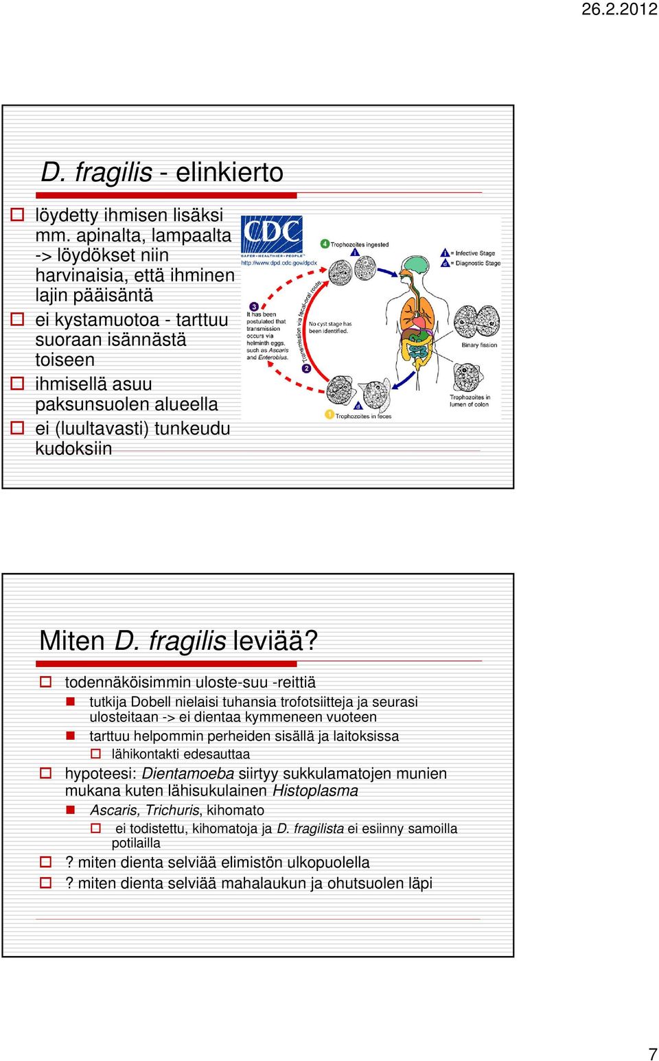 kudoksiin Miten D. fragilis leviää?