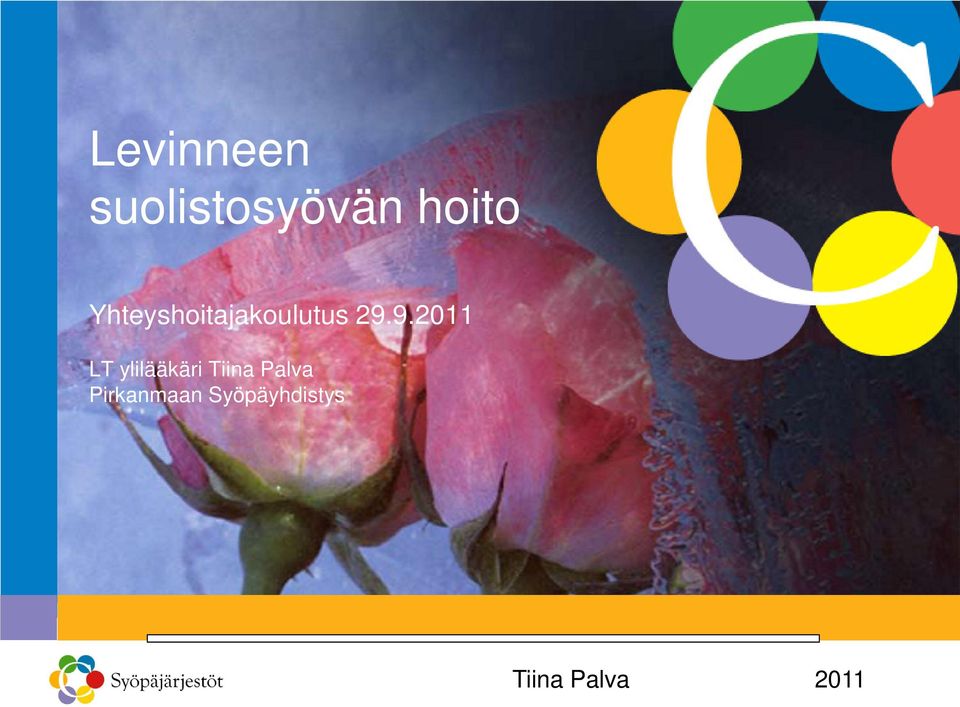 Yhteyshoitajakoulutus 29.