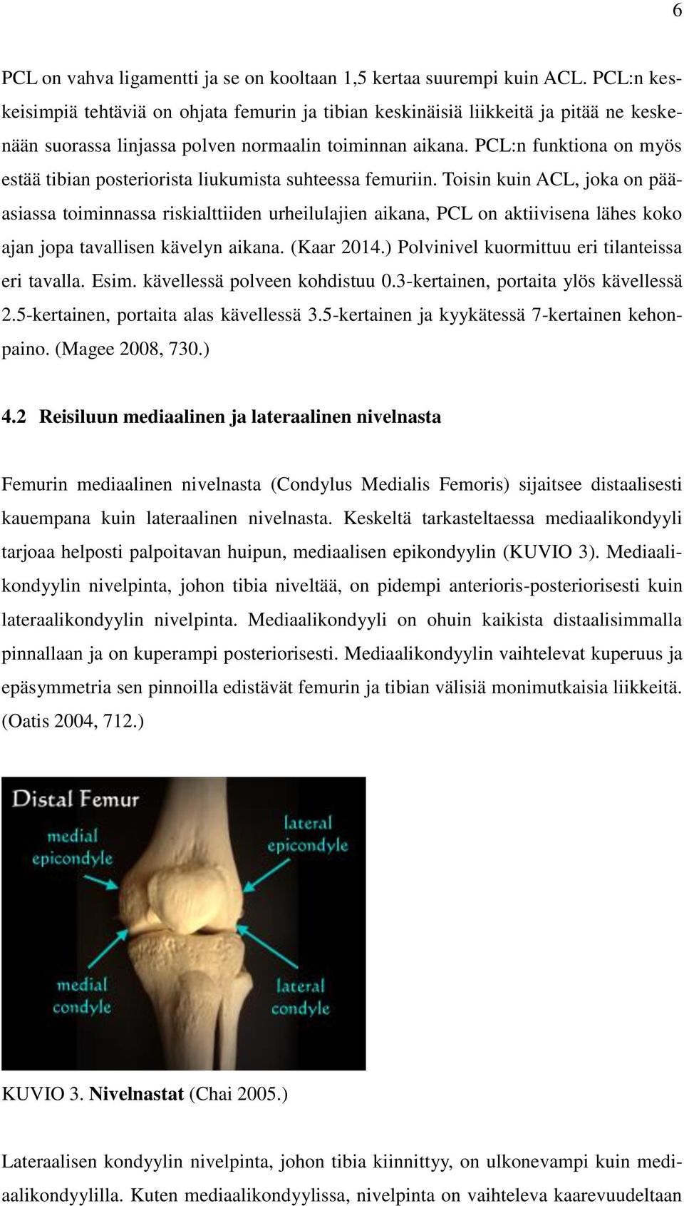 PCL:n funktiona on myös estää tibian posteriorista liukumista suhteessa femuriin.