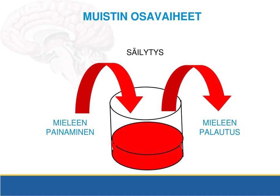 SÄILYTYS