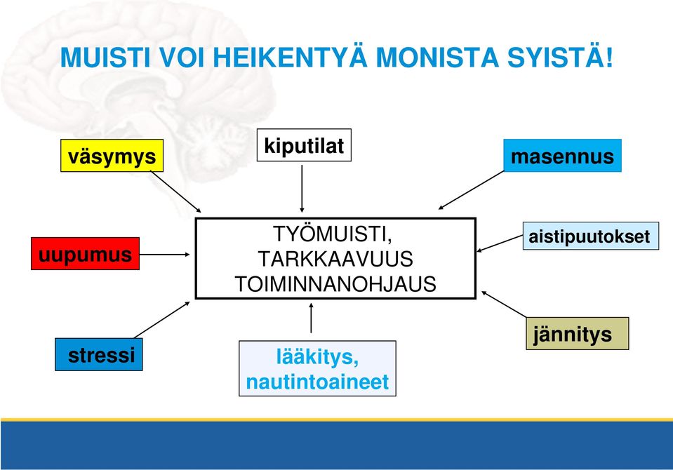 stressi TYÖMUISTI, TARKKAAVUUS