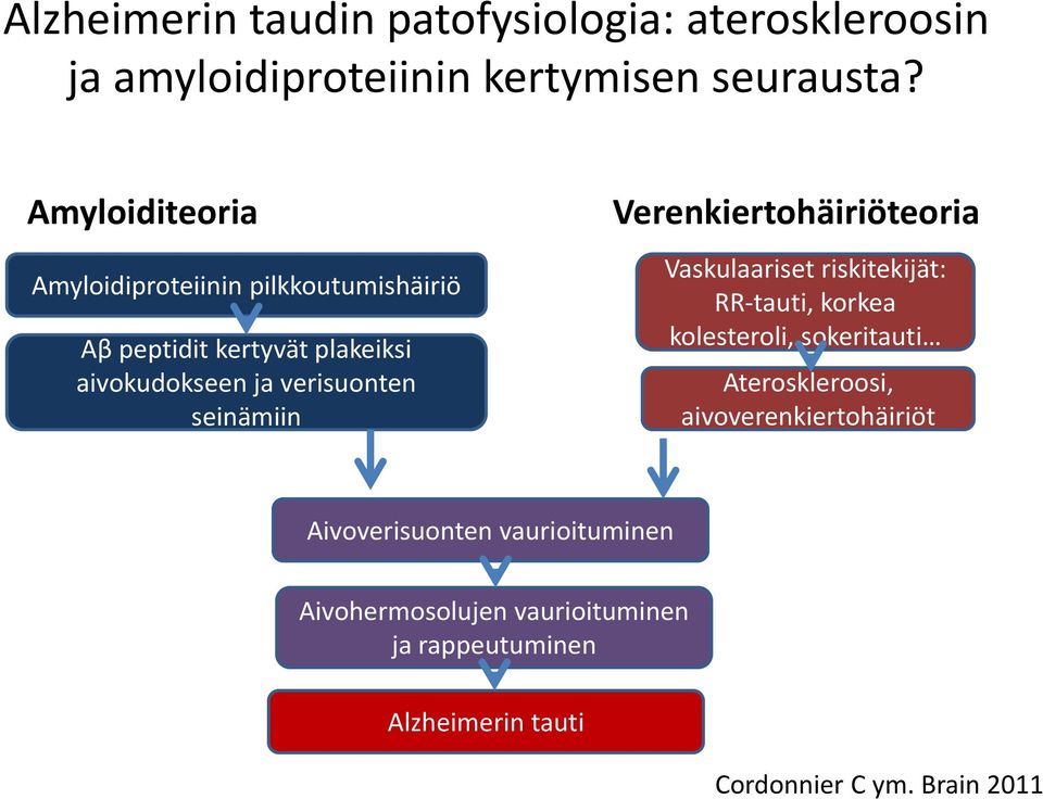 seinämiin Verenkiertohäiriöteoria Vaskulaariset riskitekijät: RR-tauti, korkea kolesteroli, sokeritauti