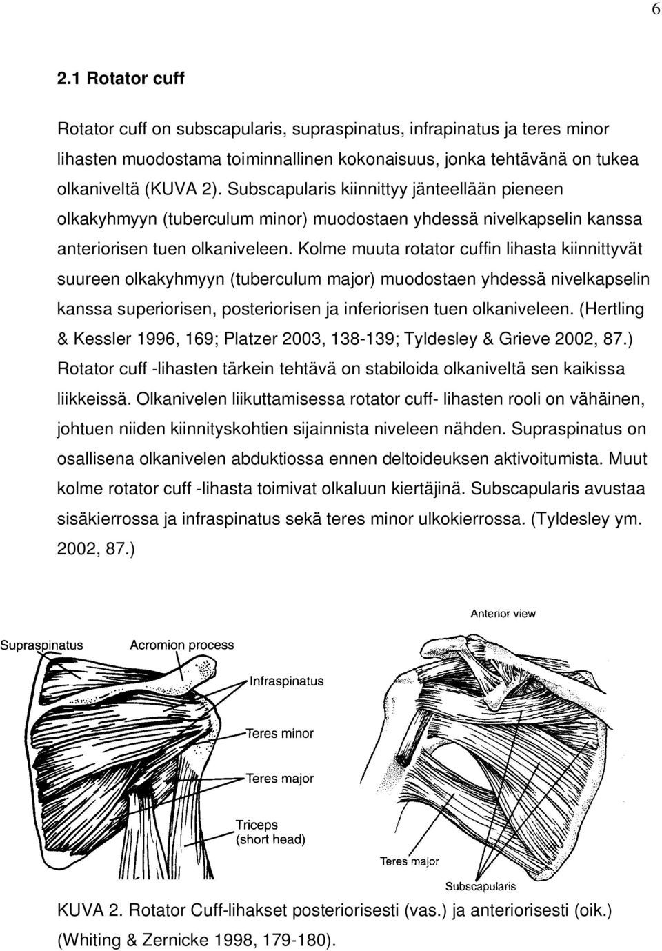 Kolme muuta rotator cuffin lihasta kiinnittyvät suureen olkakyhmyyn (tuberculum major) muodostaen yhdessä nivelkapselin kanssa superiorisen, posteriorisen ja inferiorisen tuen olkaniveleen.