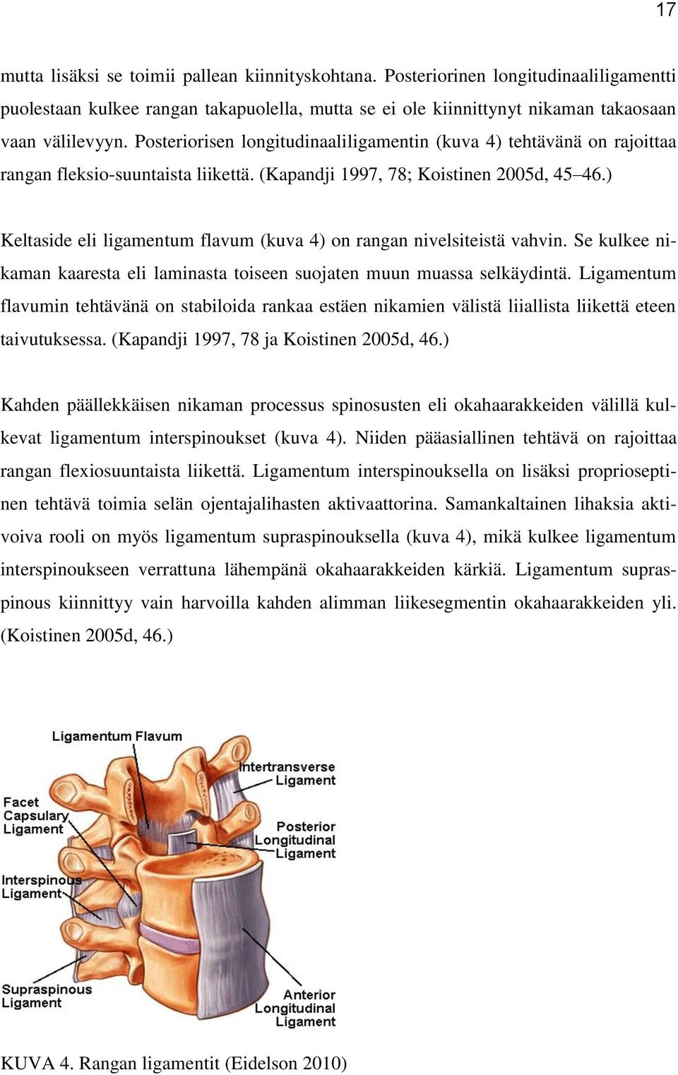 ) Keltaside eli ligamentum flavum (kuva 4) on rangan nivelsiteistä vahvin. Se kulkee nikaman kaaresta eli laminasta toiseen suojaten muun muassa selkäydintä.
