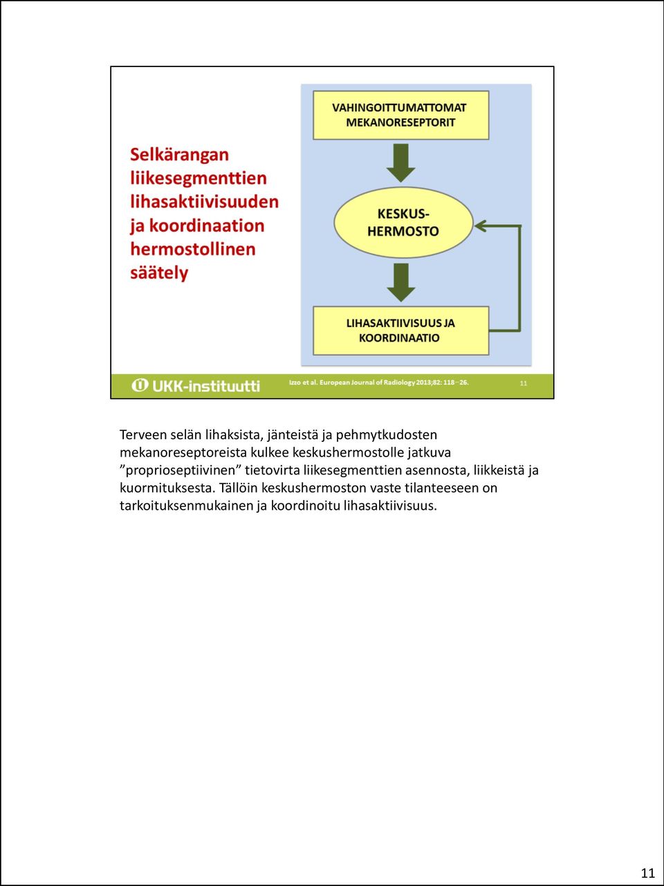 liikesegmenttien asennosta, liikkeistä ja kuormituksesta.