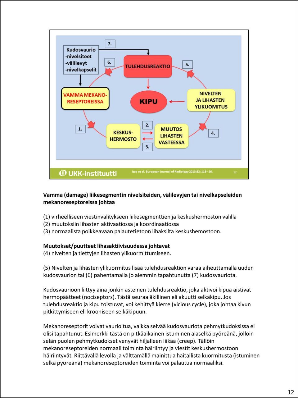 Muutokset/puutteet lihasaktiivisuudessa johtavat (4) nivelten ja tiettyjen lihasten ylikuormittumiseen.