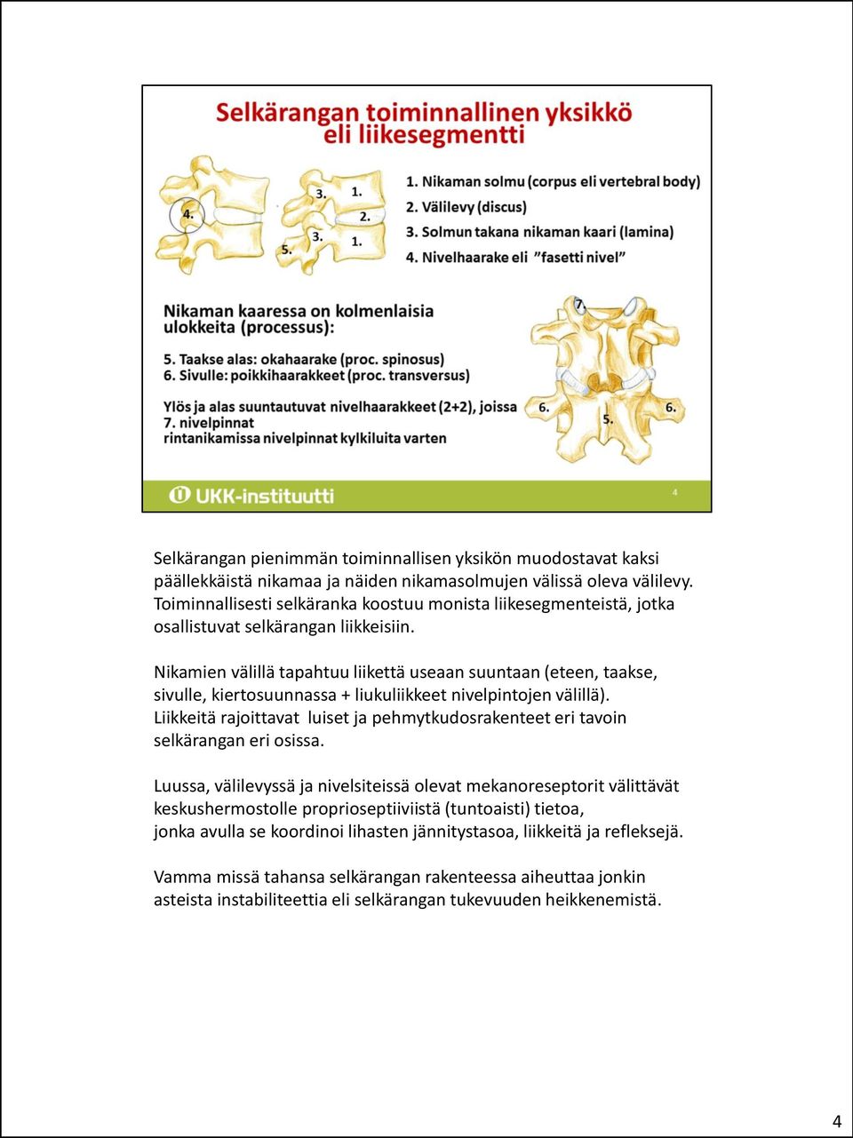 Nikamien välillä tapahtuu liikettä useaan suuntaan (eteen, taakse, sivulle, kiertosuunnassa + liukuliikkeet nivelpintojen välillä).