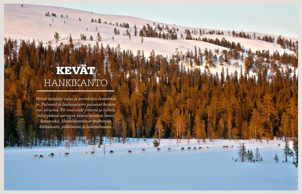 Yöt ovat vielä pimeitä ja kylmiä, mikä yhdessä auringon kanssa kovettaa