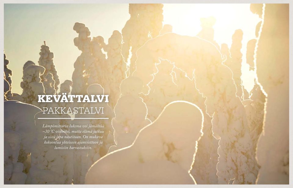 jatkuu ja siitä jopa nautitaan.