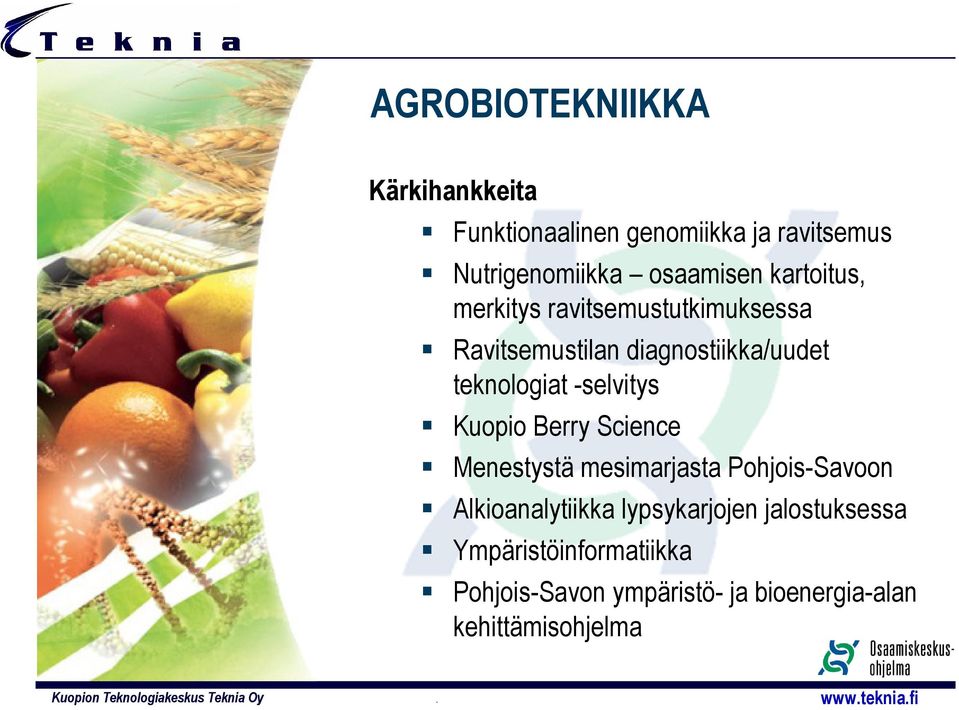 teknologiat -selvitys Kuopio Berry Science Menestystä mesimarjasta Pohjois-Savoon