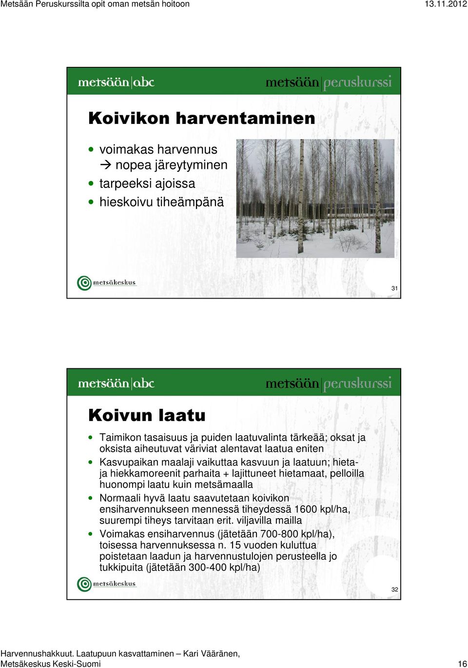 metsämaalla Normaali hyvä laatu saavutetaan koivikon ensiharvennukseen mennessä tiheydessä 1600 kpl/ha, suurempi tiheys tarvitaan erit.