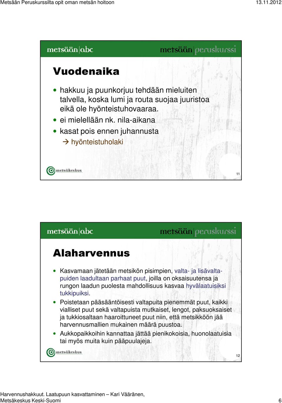 rungon laadun puolesta mahdollisuus kasvaa hyvälaatuisiksi tukkipuiksi.