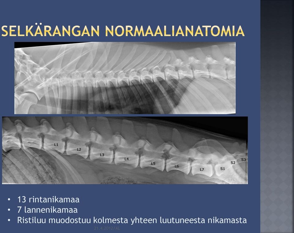 muodostuu kolmesta