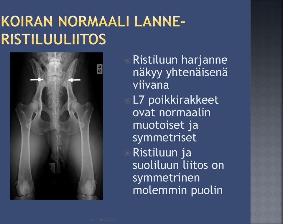 muotoiset ja symmetriset Ristiluun ja