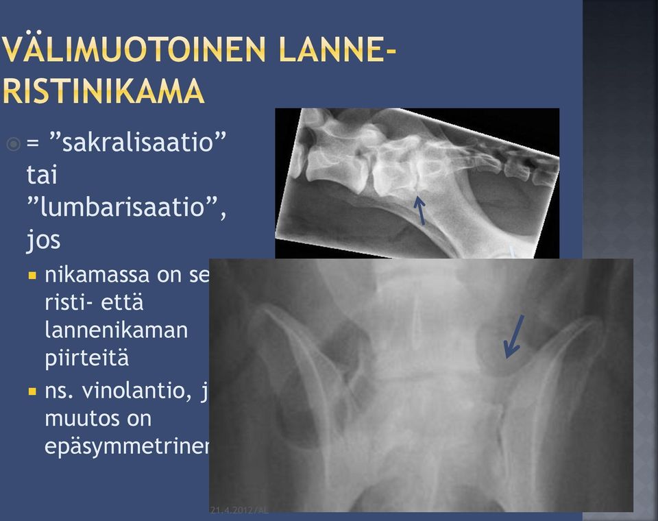 sekä risti- että lannenikaman