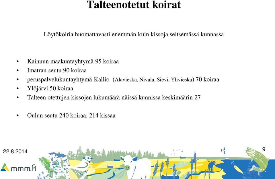 peruspalvelukuntayhtymä Kallio (Alavieska, Nivala, Sievi, Ylivieska) 70 koiraa
