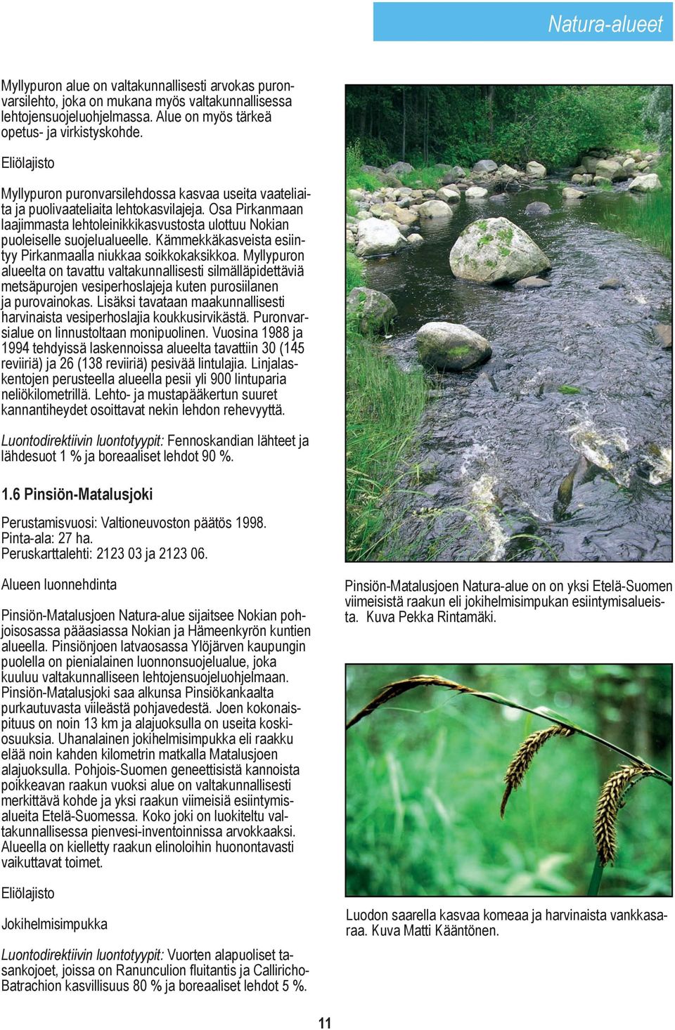 Osa Pirkanmaan laajimmasta lehtoleinikkikasvustosta ulottuu Nokian puoleiselle suojelualueelle. Kämmekkäkasveista esiintyy Pirkanmaalla niukkaa soikkokaksikkoa.