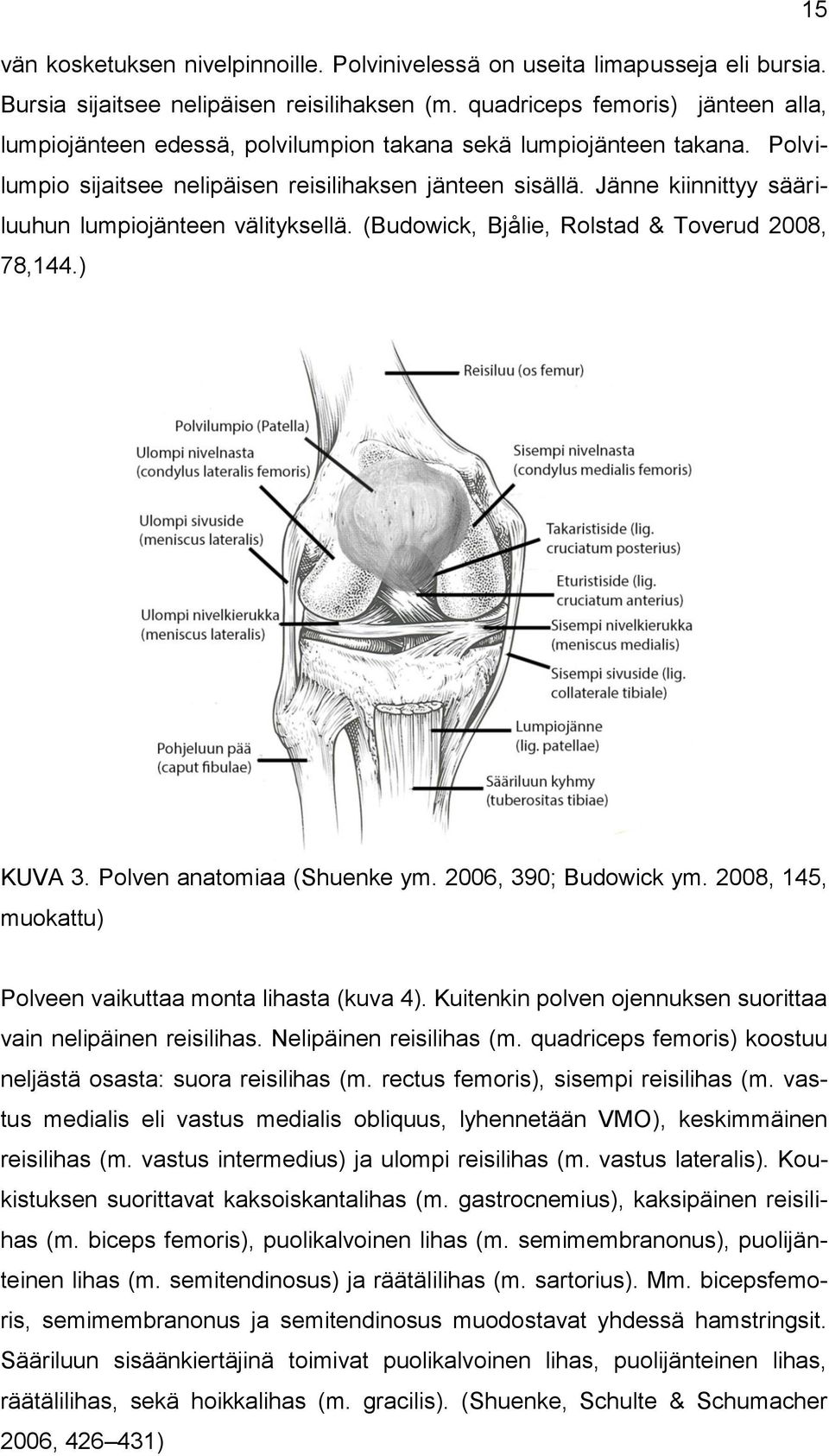 Jänne kiinnittyy sääriluuhun lumpiojänteen välityksellä. (Budowick, Bjålie, Rolstad & Toverud 2008, 78,144.) KUVA 3. Polven anatomiaa (Shuenke ym. 2006, 390; Budowick ym.