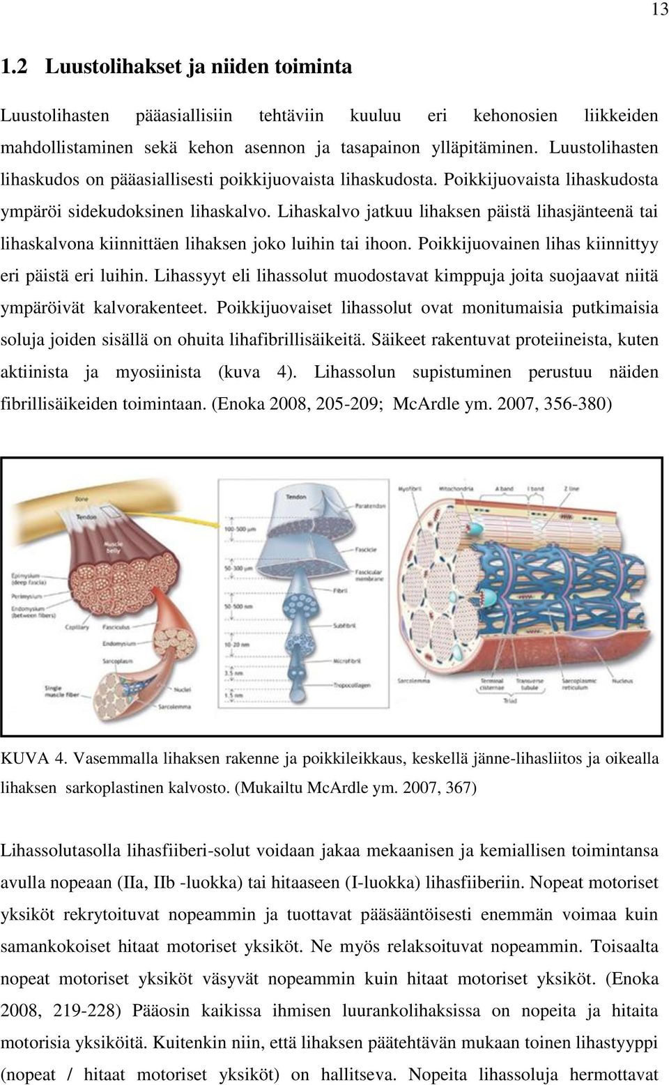 Lihaskalvo jatkuu lihaksen päistä lihasjänteenä tai lihaskalvona kiinnittäen lihaksen joko luihin tai ihoon. Poikkijuovainen lihas kiinnittyy eri päistä eri luihin.