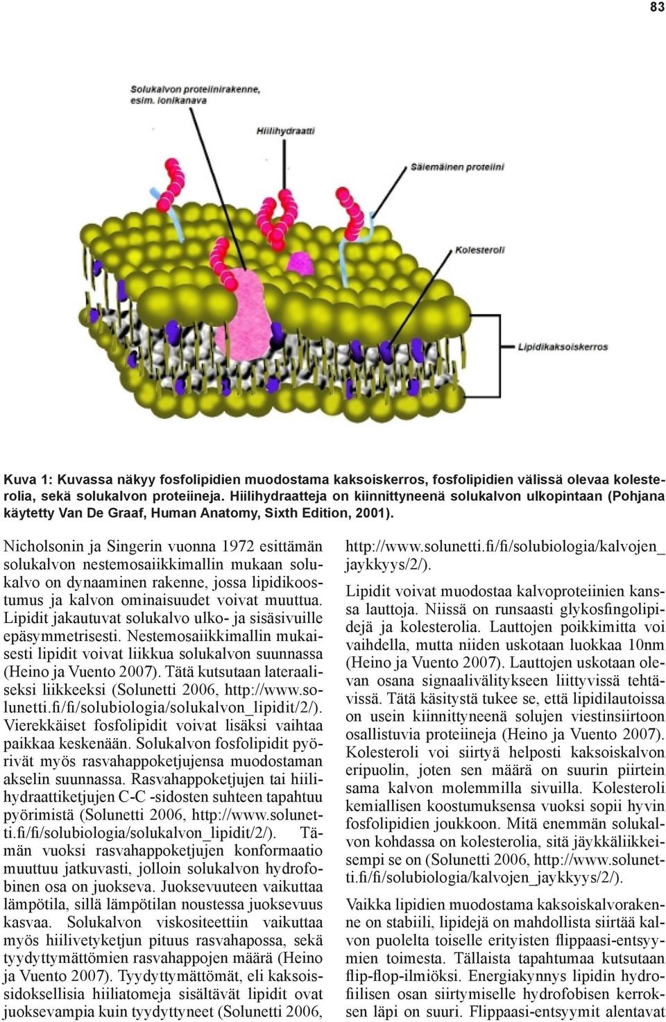Nicholsonin ja Singerin vuonna 1972 esittämän solukalvon nestemosaiikkimallin mukaan solukalvo on dynaaminen rakenne, jossa lipidikoostumus ja kalvon ominaisuudet voivat muuttua.