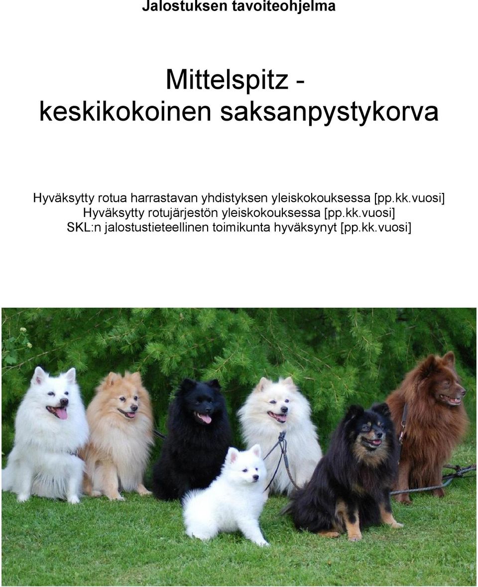 yleiskokouksessa [pp.kk.