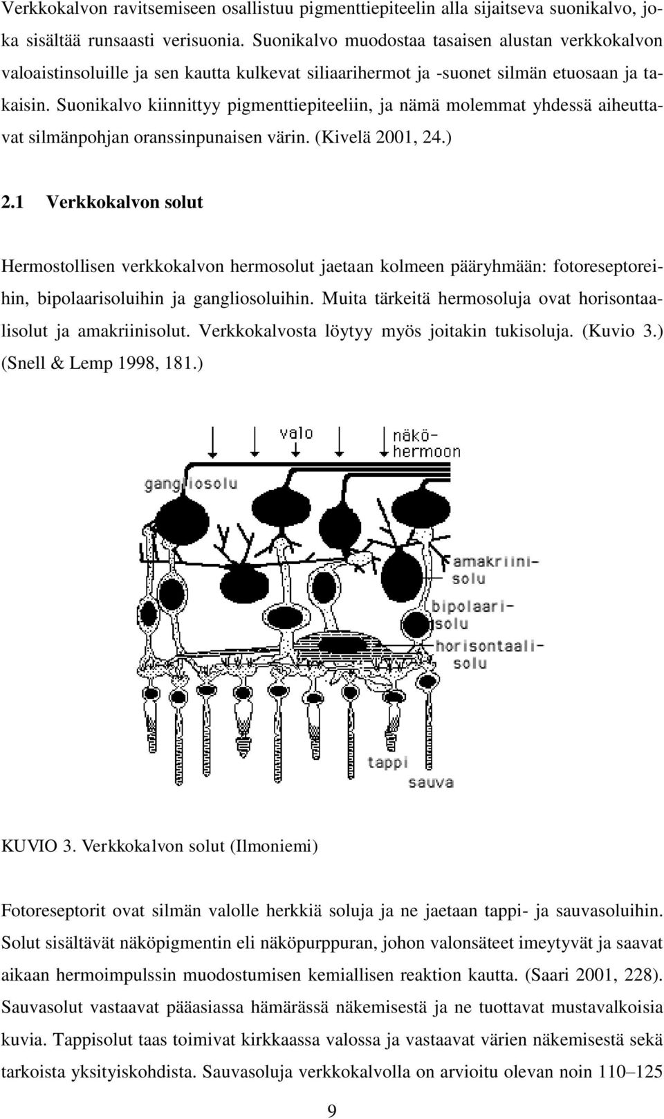 Suonikalvo kiinnittyy pigmenttiepiteeliin, ja nämä molemmat yhdessä aiheuttavat silmänpohjan oranssinpunaisen värin. (Kivelä 2001, 24.) 2.