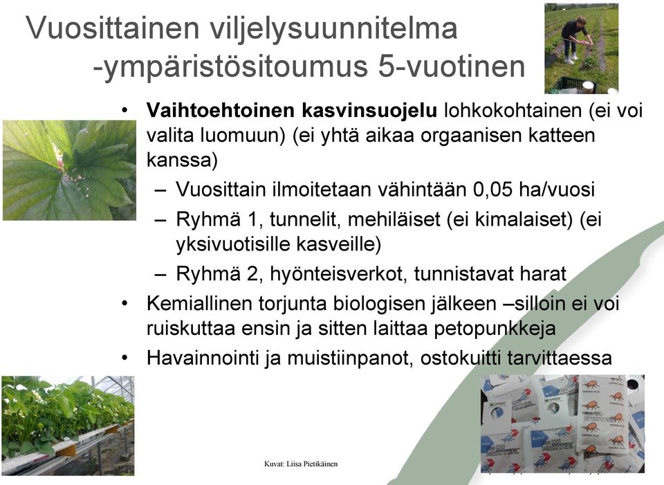 kimalaiset) (ei yksivuotisille kasveille) Ryhmä 2, hyönteisverkot, tunnistavat harat Kemiallinen torjunta biologisen jälkeen