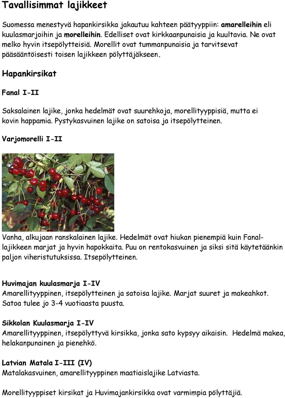 Hapankirsikat Fanal I-II Saksalainen lajike, jonka hedelmät ovat suurehkoja, morellityyppisiä, mutta ei kovin happamia. Pystykasvuinen lajike on satoisa ja itsepölytteinen.