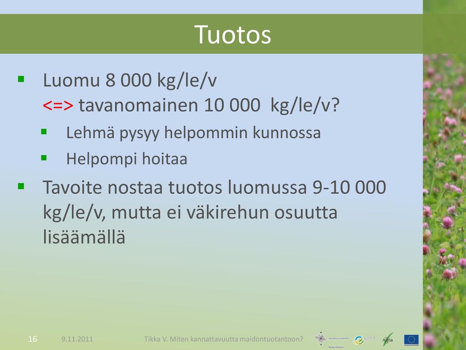 Lehmä pysyy helpommin kunnossa Helpompi hoitaa