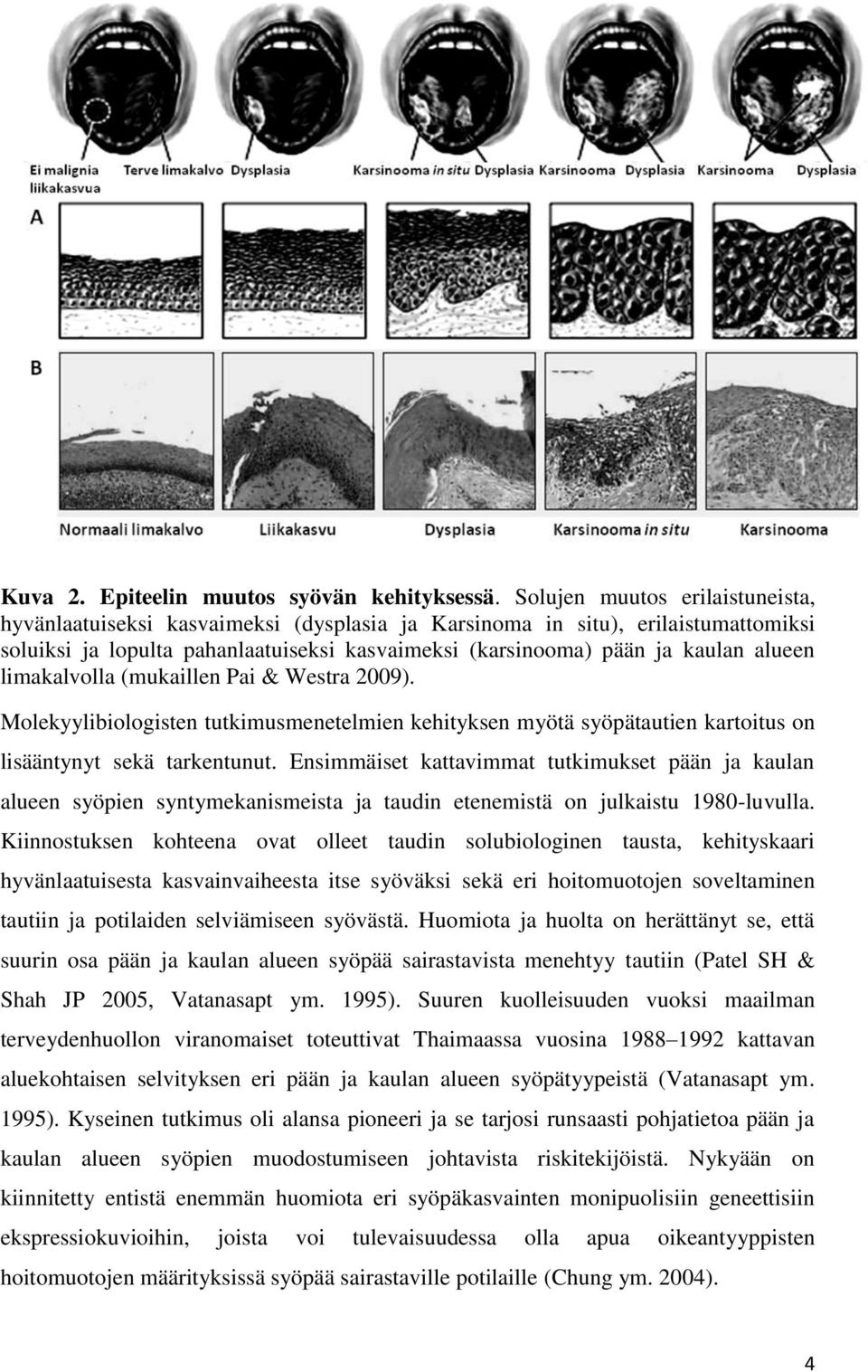 limakalvolla (mukaillen Pai & Westra 2009). Molekyylibiologisten tutkimusmenetelmien kehityksen myötä syöpätautien kartoitus on lisääntynyt sekä tarkentunut.