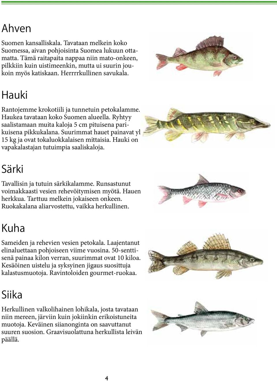 Haukea tavataan koko Suomen alueella. Ryhtyy saalistamaan muita kaloja 5 cm pituisena parikuisena pikkukalana. Suurimmat hauet painavat yli 15 kg ja ovat tokaluokkalaisen mittaisia.