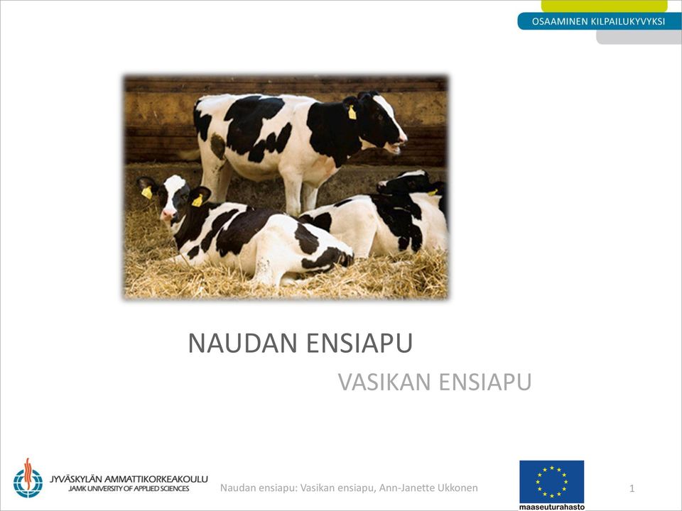 Vasikan ensiapu,